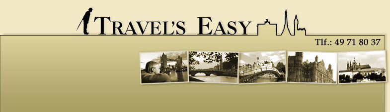 Online payment - Travel's Easy